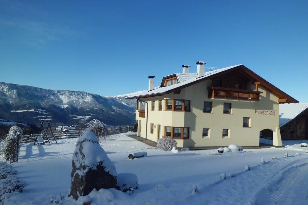 Gasserhof Chalets メルティナ エクステリア 写真